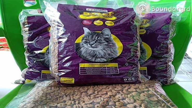 Efek Samping Makanan Kucing Bolt