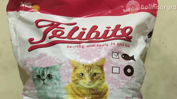 Efek Samping Makanan Kucing Felibite
