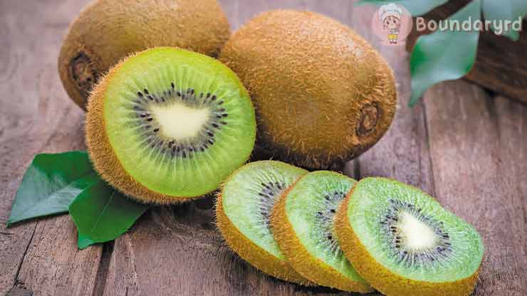Manfaat Kiwi