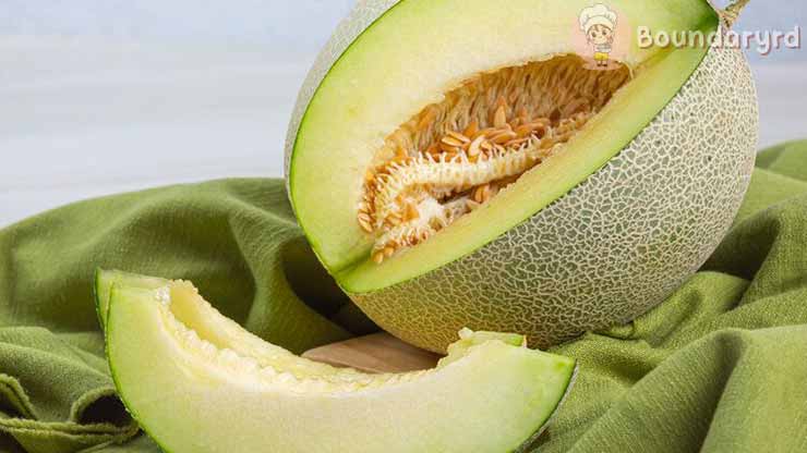 Tips Memilih Melon