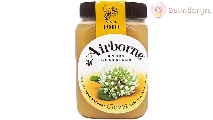 Airborne Madu Clover Honey