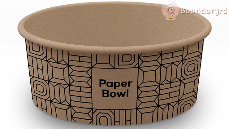 Paper Bowl